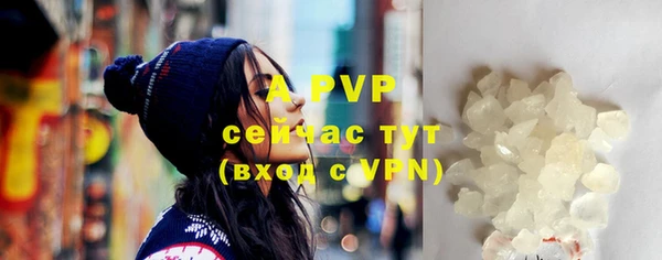 СК Алексин