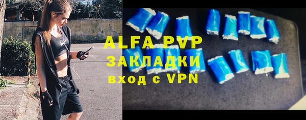 СК Алексин