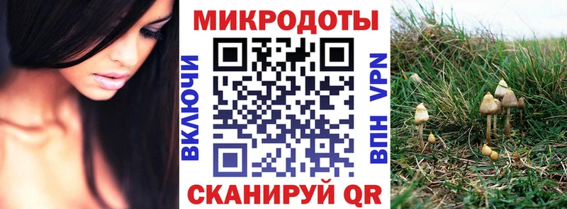 Галлюциногенные грибы ЛСД  мега ONION  Отрадная  купить наркотики сайты 